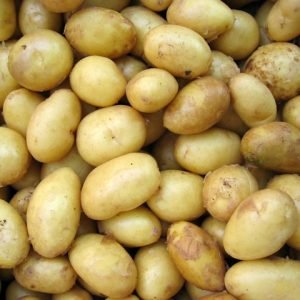 Pommes de terre